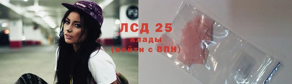 ПСИЛОЦИБИНОВЫЕ ГРИБЫ Абаза