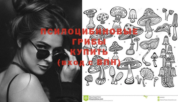 спиды Абдулино
