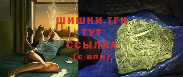 ПСИЛОЦИБИНОВЫЕ ГРИБЫ Абаза