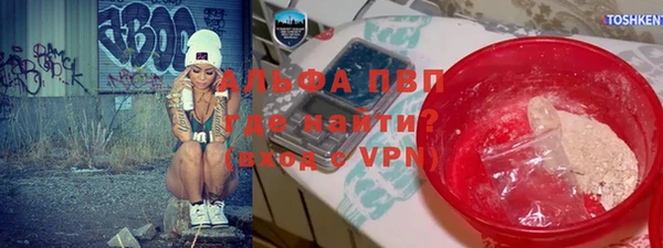 бошки Пересвет