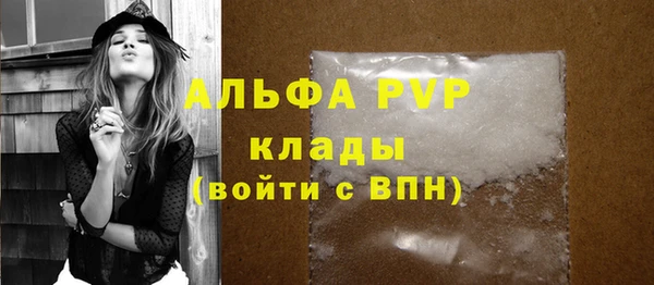 ПСИЛОЦИБИНОВЫЕ ГРИБЫ Абаза