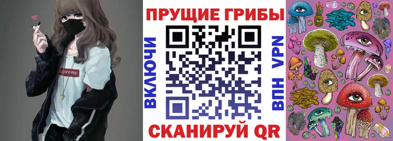 Псилоцибиновые грибы мицелий Зея